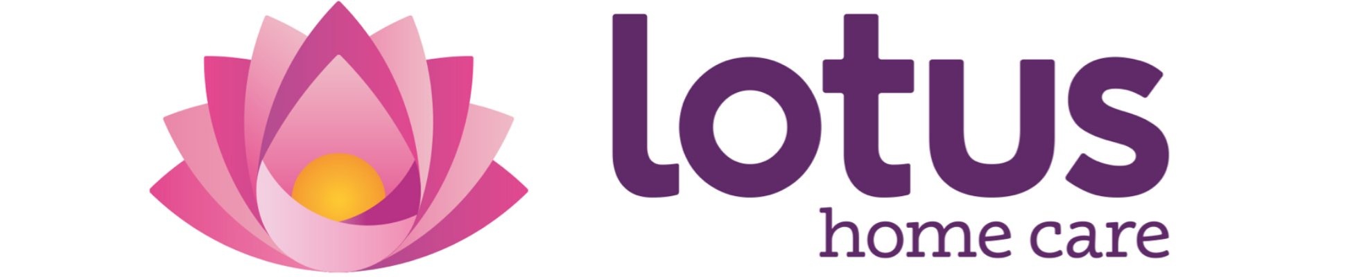 Company banner showing Visual Corporation branding