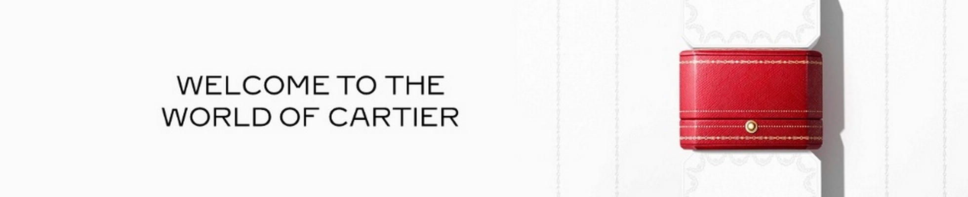 Company banner showing Visual Corporation branding