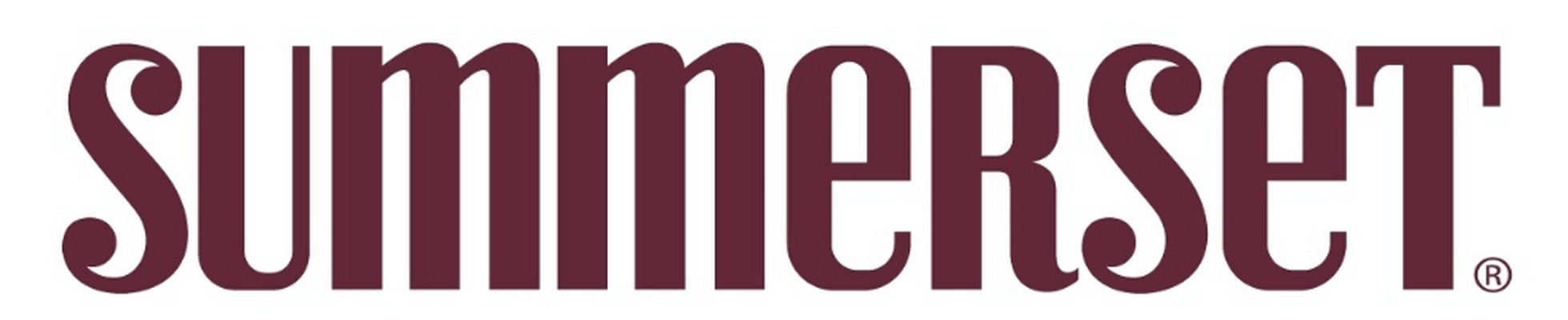 Company banner showing Visual Corporation branding