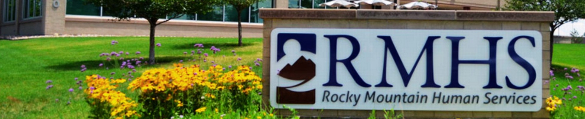 Company banner showing Visual Corporation branding