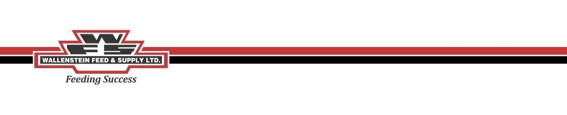 Company banner showing Visual Corporation branding