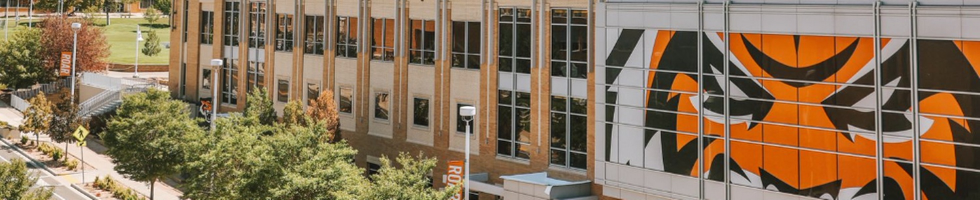 Company banner showing Visual Corporation branding