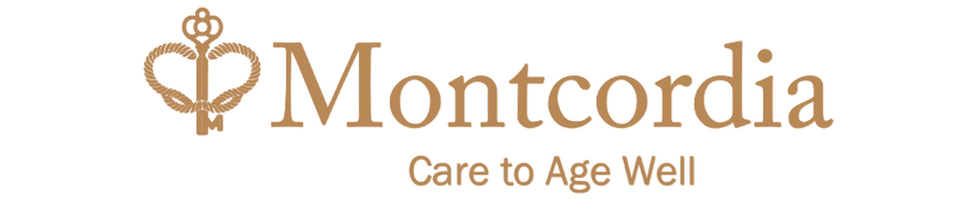 Company banner showing Visual Corporation branding