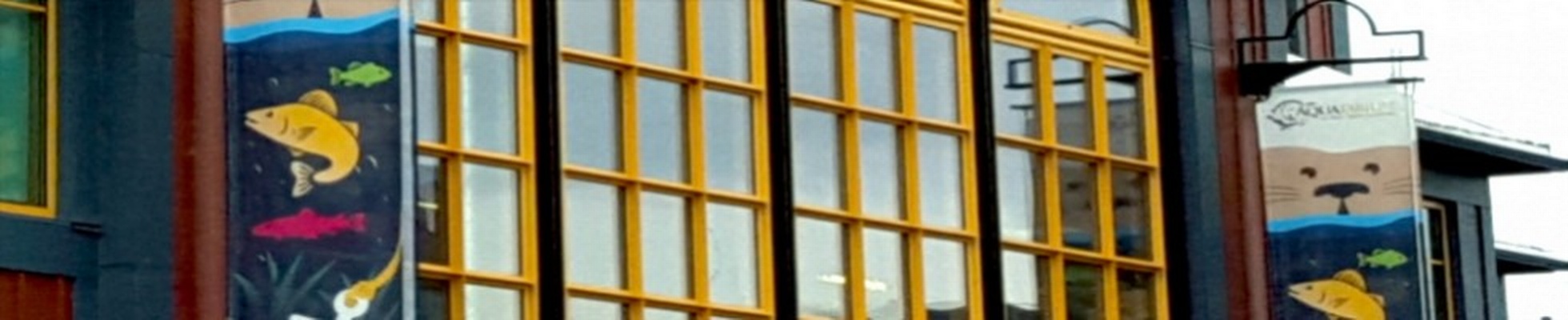 Company banner showing Visual Corporation branding