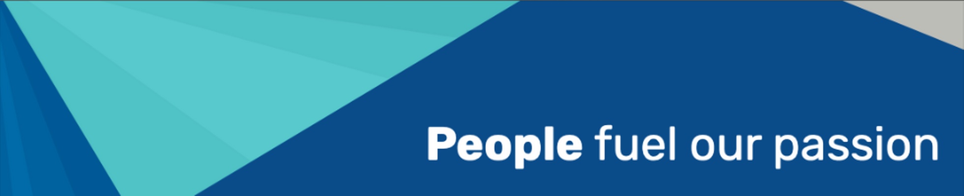 RSD Recruitment LTD logo