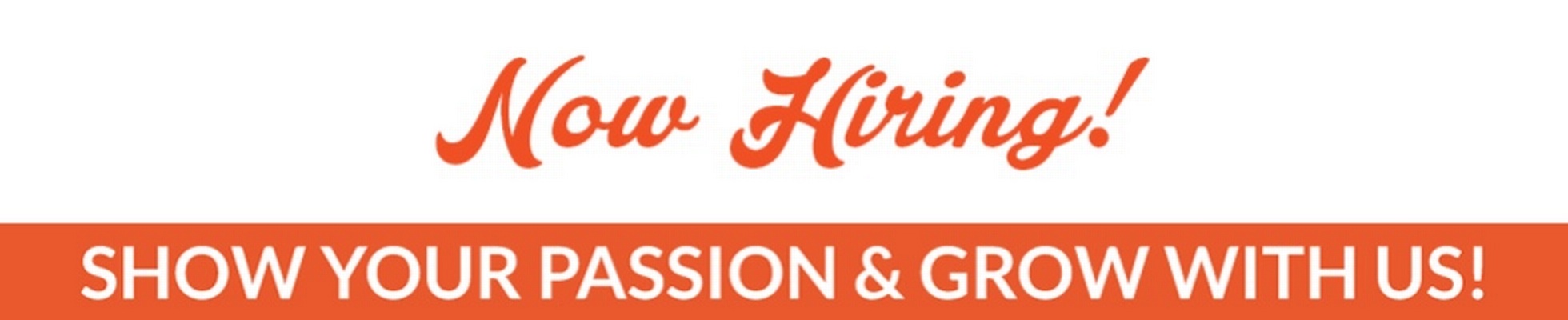Company banner showing Visual Corporation branding