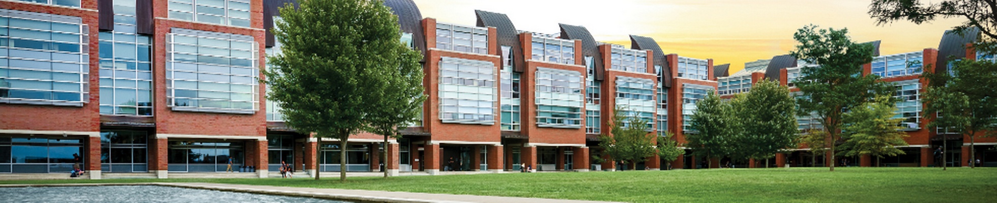 Company banner showing Visual Corporation branding