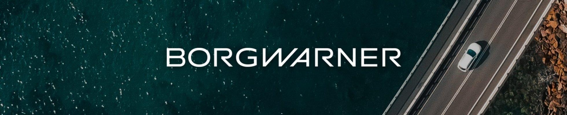BorgWarner logo
