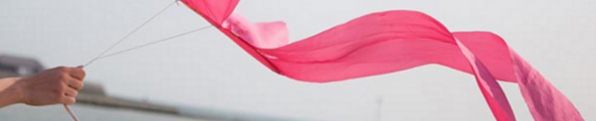 Company banner showing Visual Corporation branding