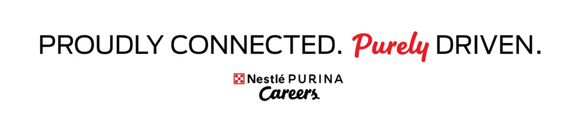 Company banner showing Visual Corporation branding