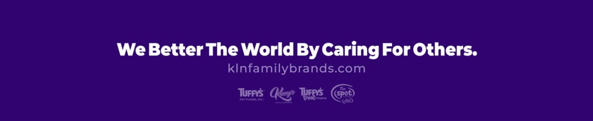 Company banner showing Visual Corporation branding