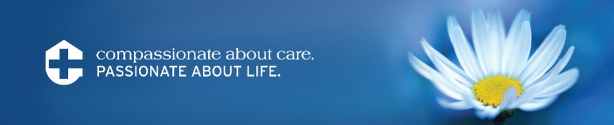 Company banner showing Visual Corporation branding