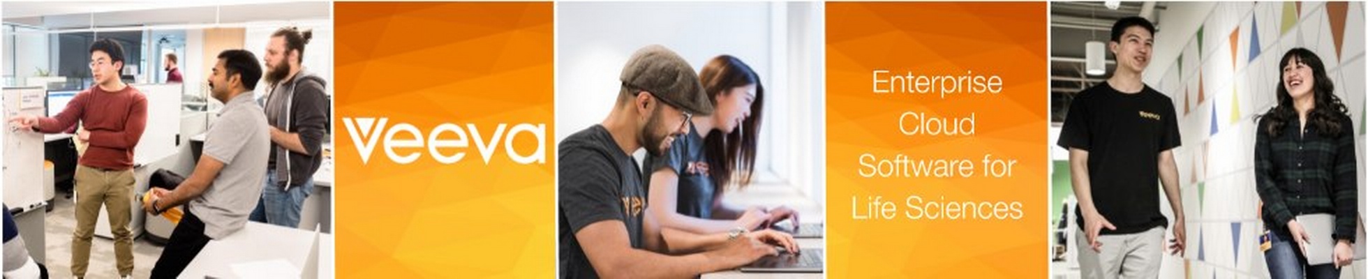 Veeva Systems Employment and Reviews | SimplyHired