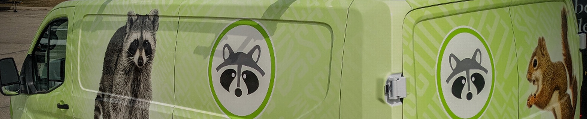 Company banner showing Visual Corporation branding