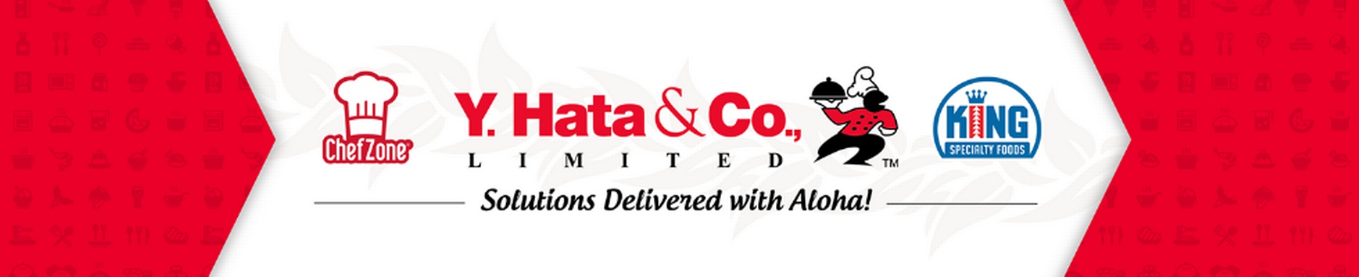 Company banner showing Visual Corporation branding