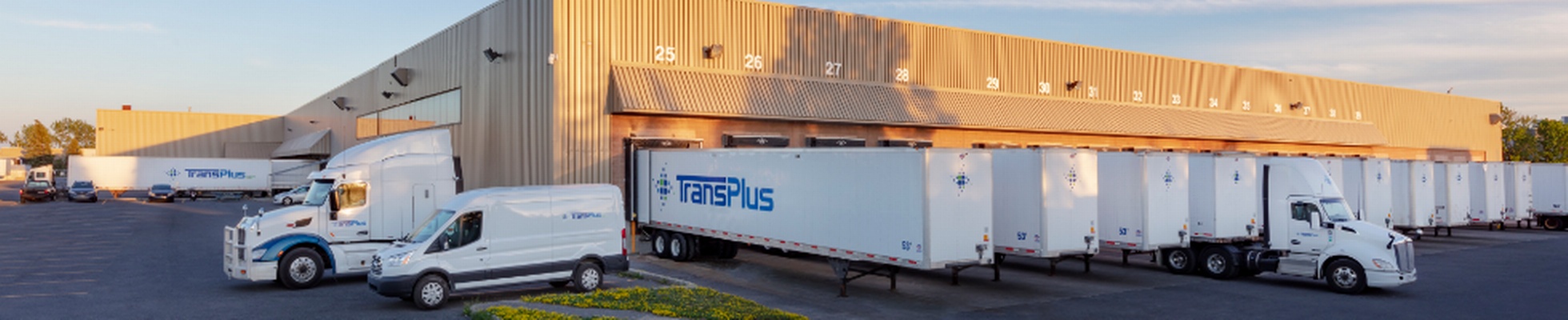 Company banner showing Visual Corporation branding