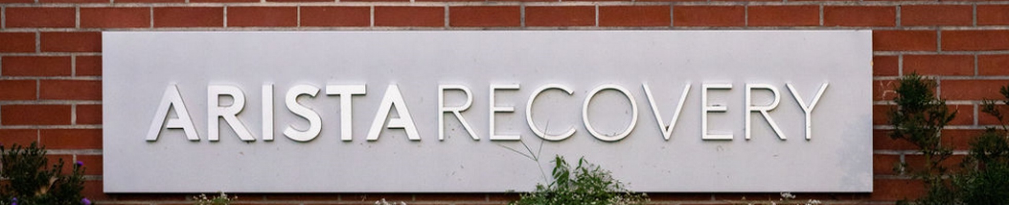 Company banner showing Visual Corporation branding