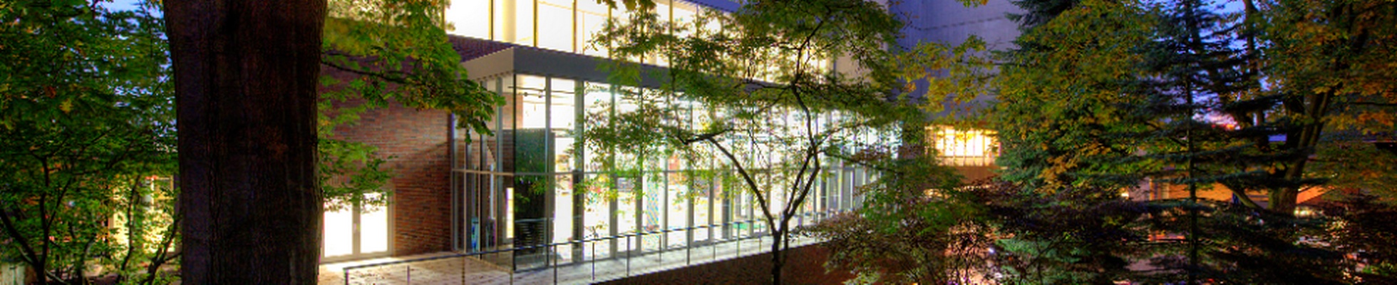 Company banner showing Visual Corporation branding