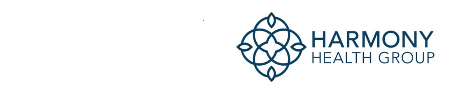 Company banner showing Visual Corporation branding