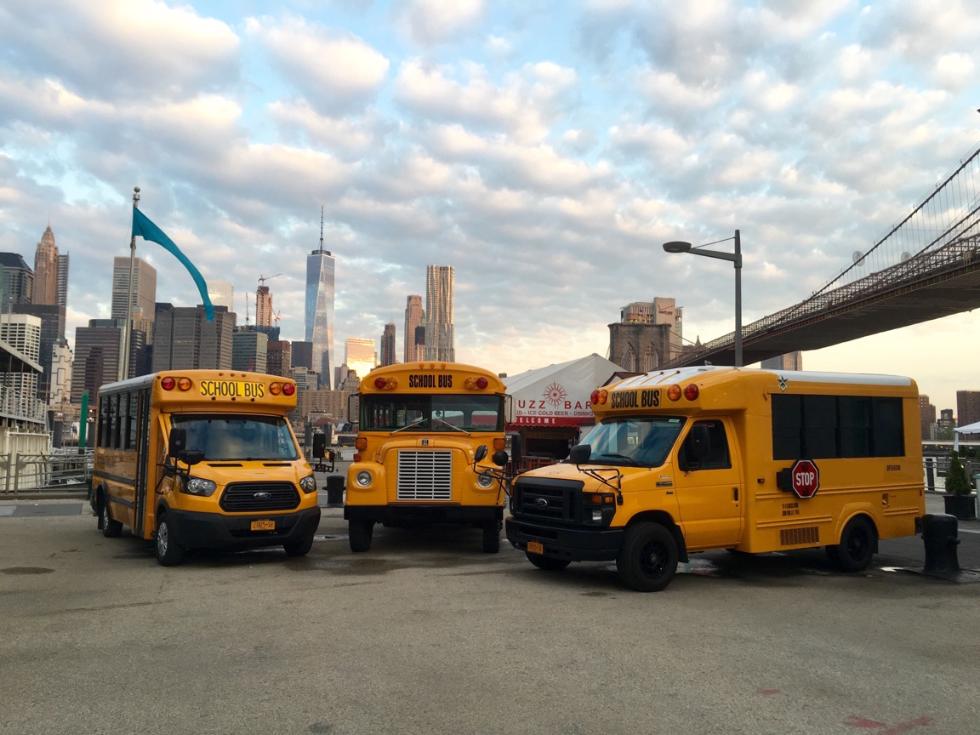 4343caa2aa6b79d9a6f6b8120efdcffb