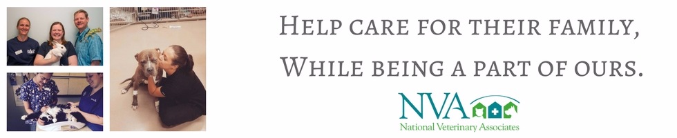 working-at-national-veterinary-associates-employee-reviews-indeed