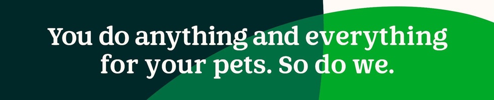 Pets at home work hot sale experience