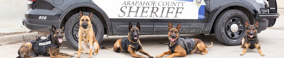 Deputy Sheriff Salaries in Colorado for Arapahoe County Sheriff | Indeed.com