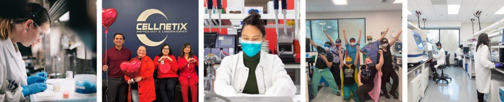 CellNetix Pathology & Laboratories Jobs and Careers | Indeed.com
