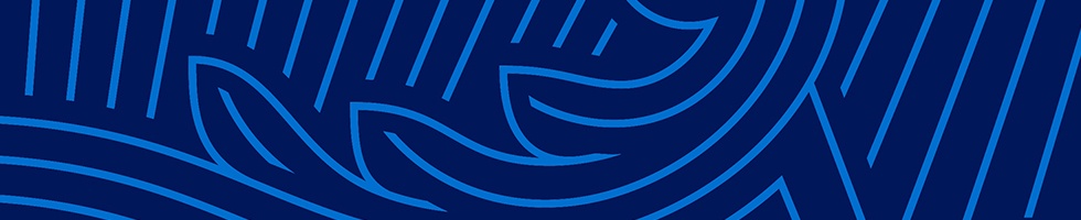 Amex ribbon pattern
