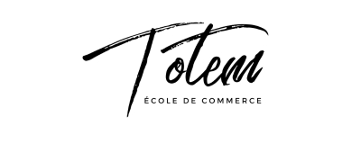 TOTEM FORMATION logo