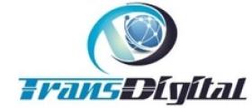 Transdigital Technology services Pvt Ltd logo