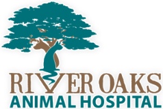 Veterinary Jobs Employment In Myrtle Beach Sc Indeed Com