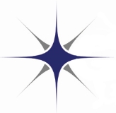 Gulfstar Industries, LLC logo