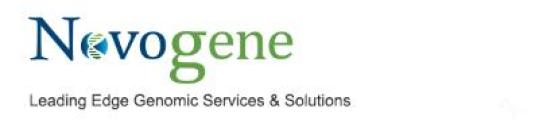 Novogene Corporation Careers and Employment | Indeed.com