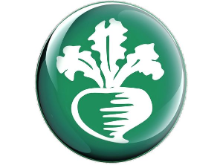 Working at Turnips Distributing Limited: Employee Reviews | Indeed.com