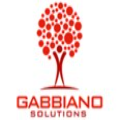 Gabbiano Solutions srl logo