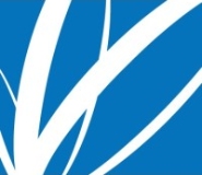 Paper Excellence logo