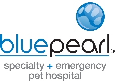 blue pearl veterinary specialists