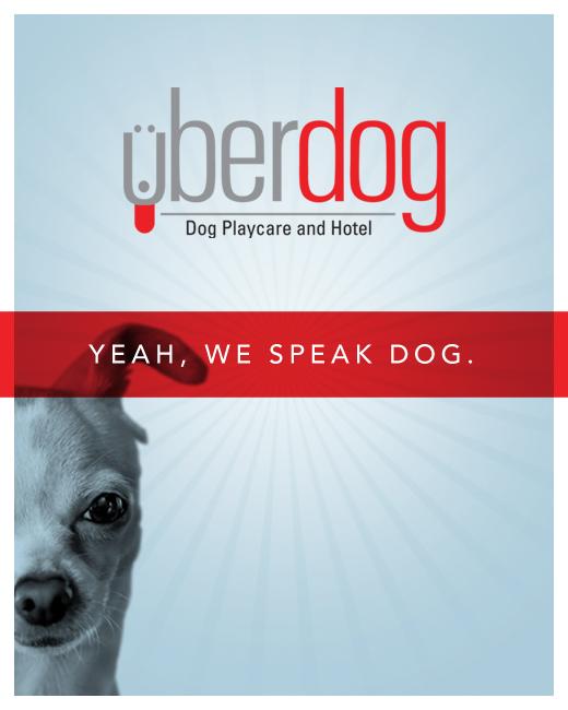 What Does A Dog Daycare Attendant Do