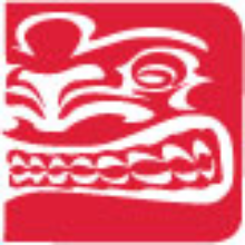 Voonami, Inc. logo