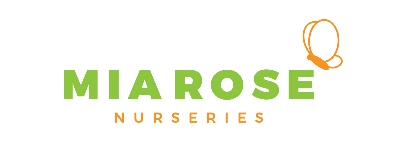 Mia rose nurseries