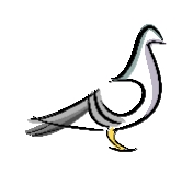 avatar-image