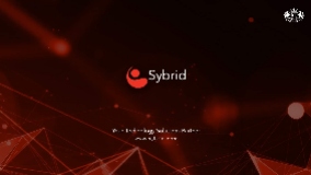 Sybrid Pvt Ltd logo