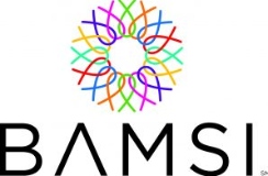 Brockton Area Multi-Services Inc. logo
