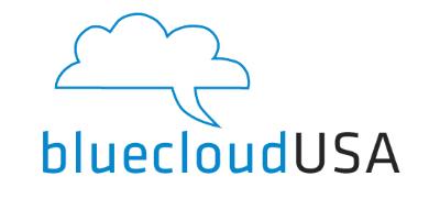 BlueCloudUSA Careers and Employment | Indeed.com