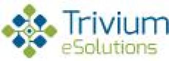 Trivium eSolutions GmbH logo