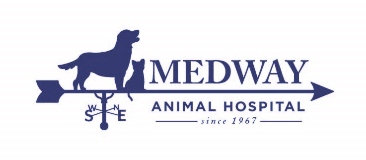 medway animal hospital jobs