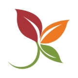 avatar-image