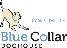 blue collar doggie daycare