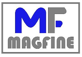 jobs in Magfine Engineering Pte Ltd